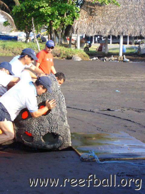 guatemalamarinebiologistpics_040