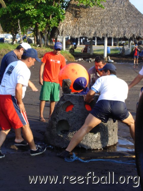 guatemalamarinebiologistpics_043