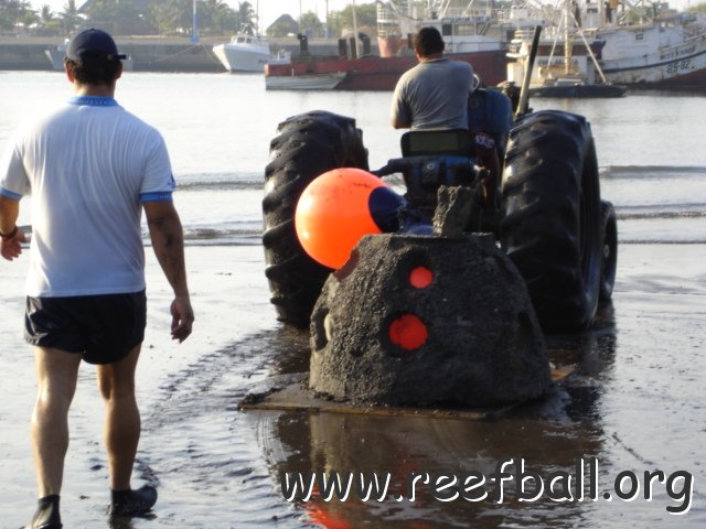 guatemalamarinebiologistpics_049