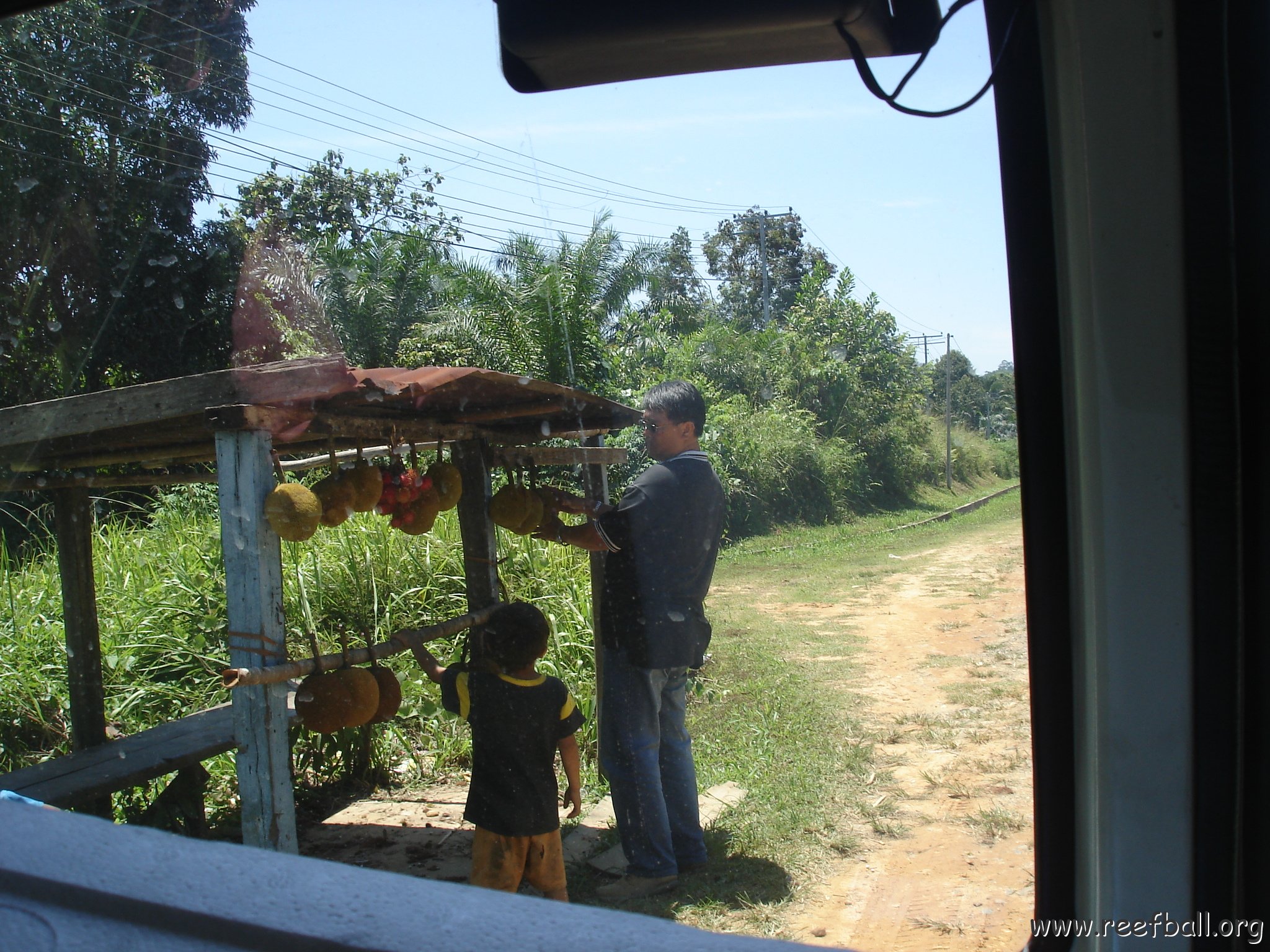 Road trip Sandakan - Kota Kinabalu (109)