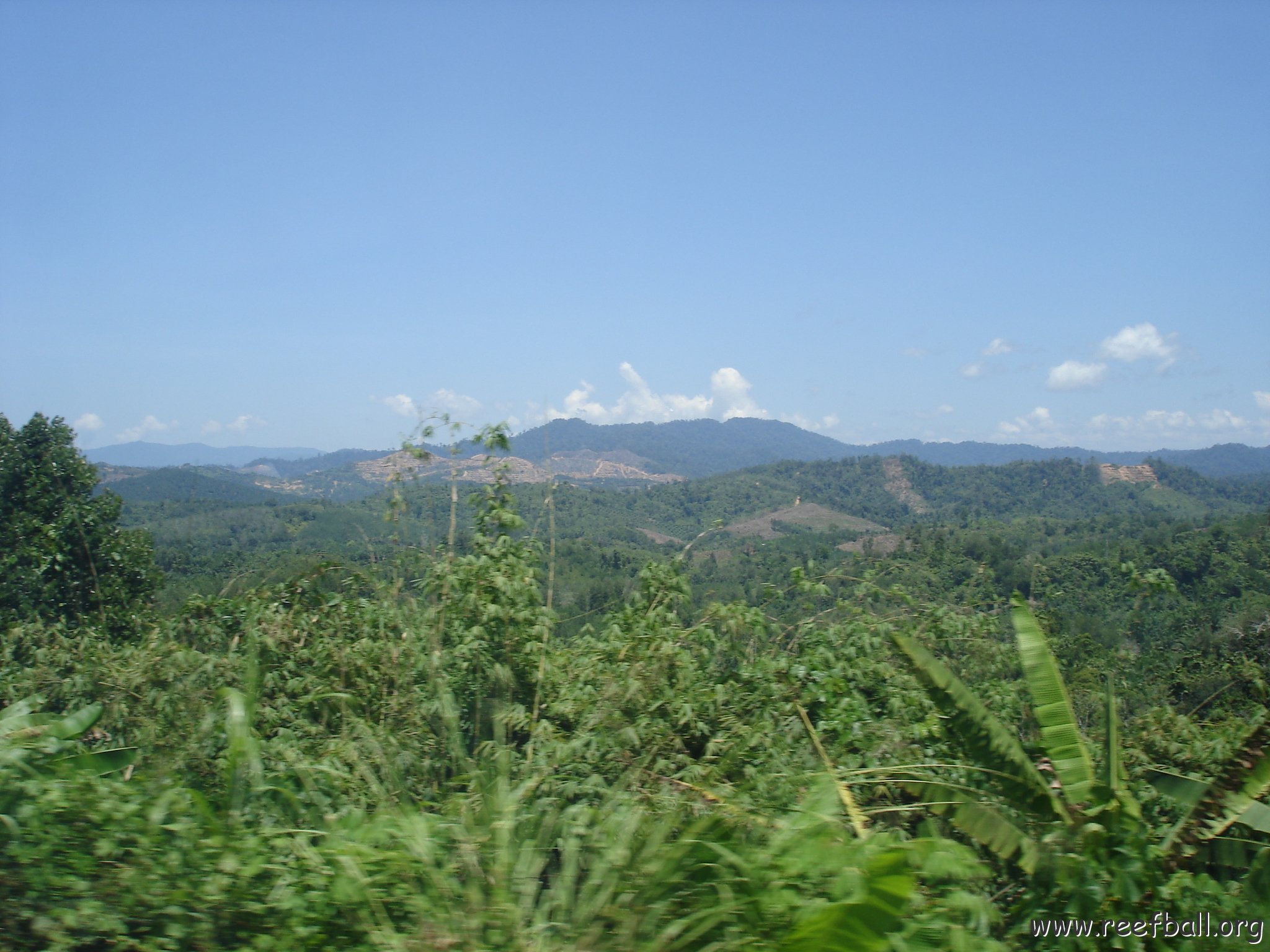 Road trip Sandakan - Kota Kinabalu (116)