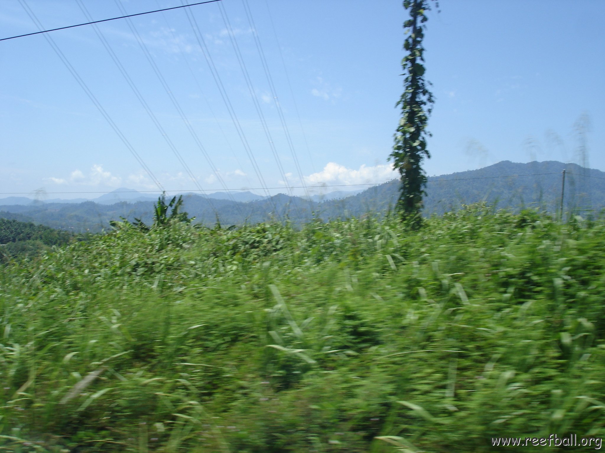 Road trip Sandakan - Kota Kinabalu (120)