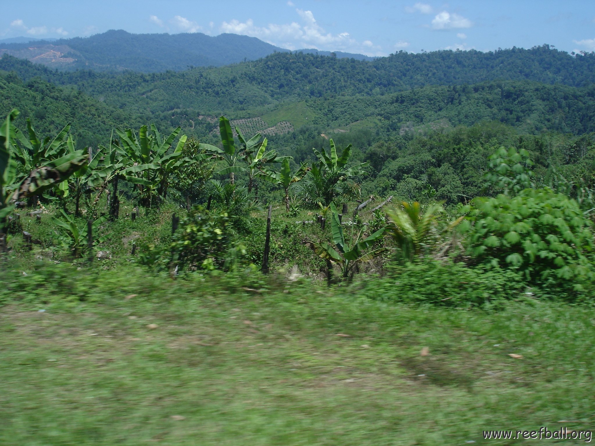 Road trip Sandakan - Kota Kinabalu (127)