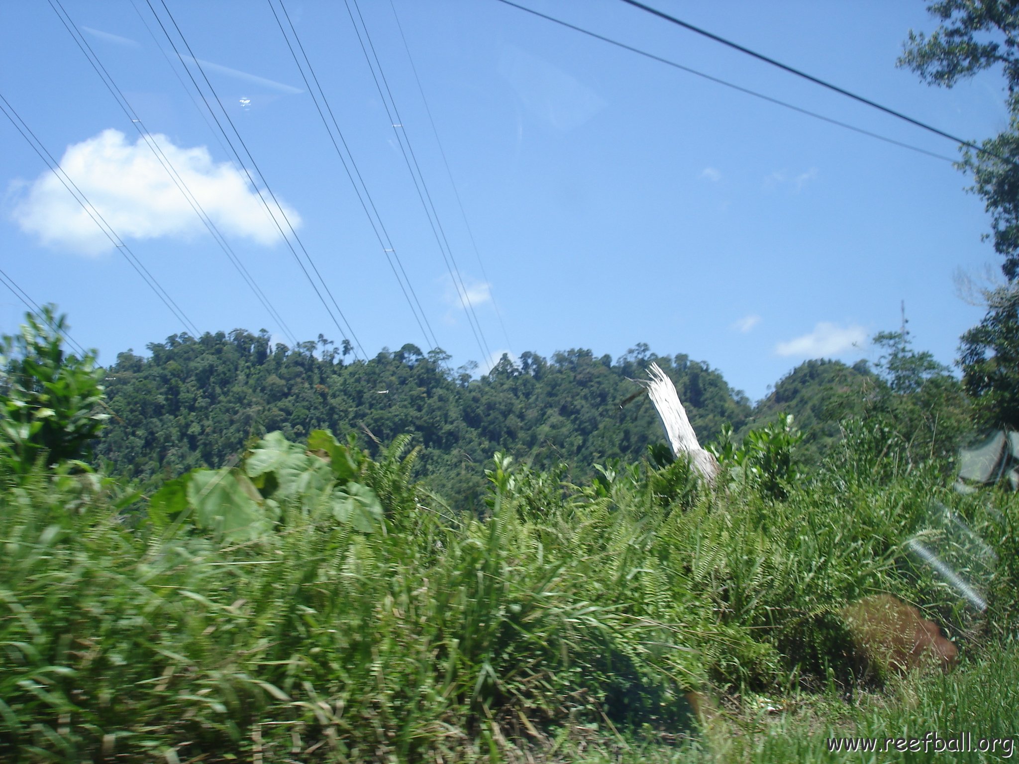 Road trip Sandakan - Kota Kinabalu (154)