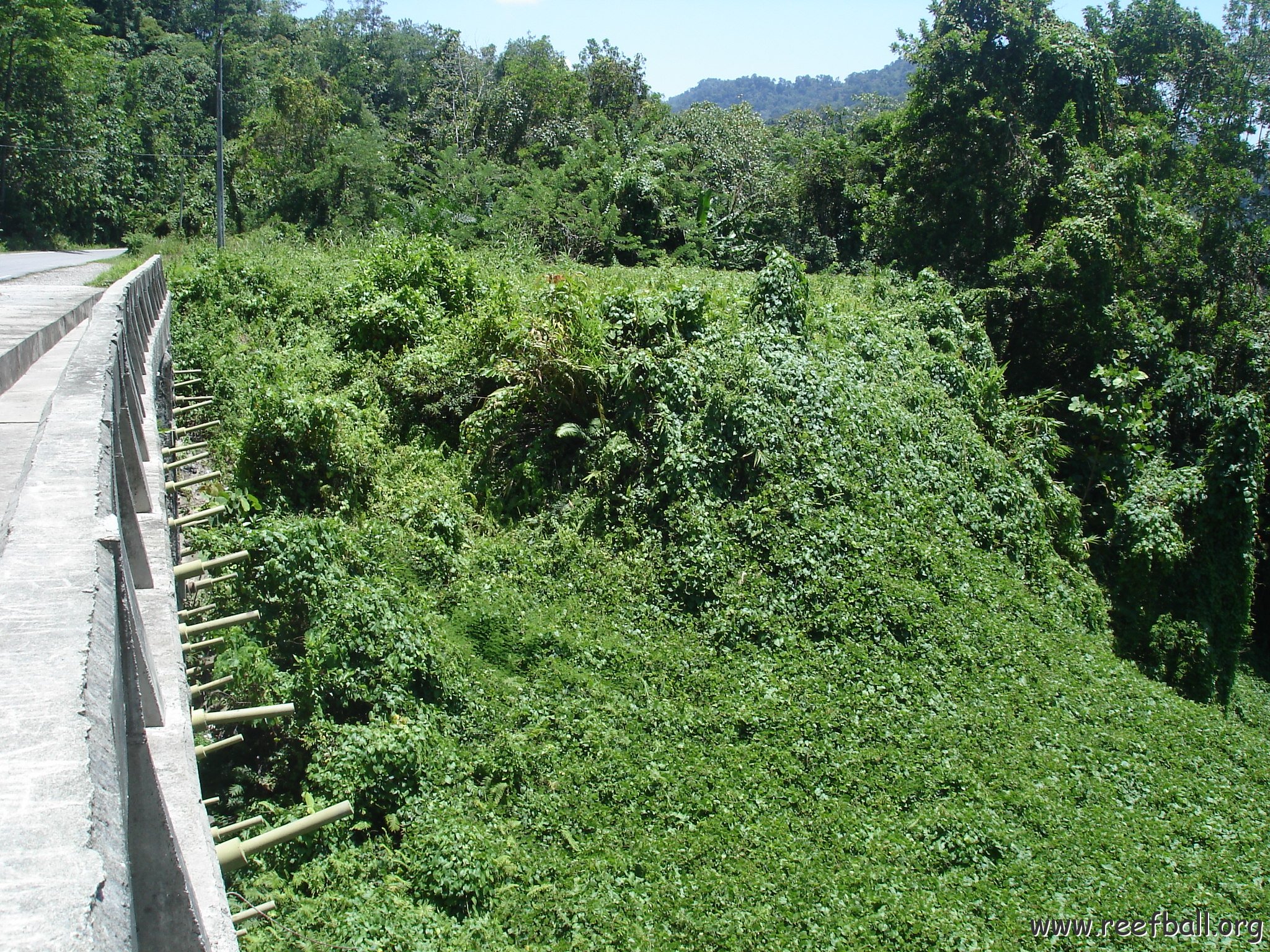 Road trip Sandakan - Kota Kinabalu (168)