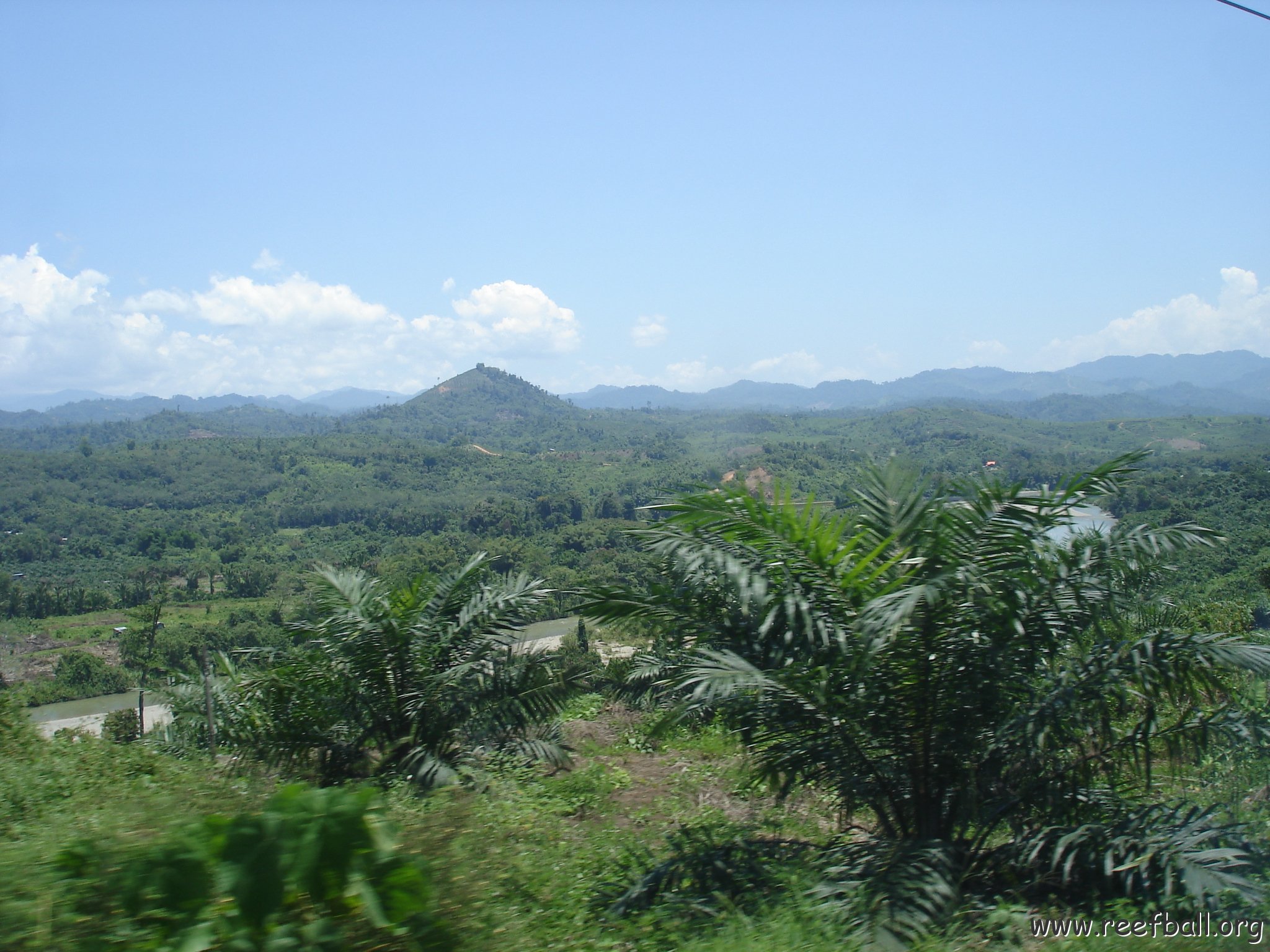 Road trip Sandakan - Kota Kinabalu (184)