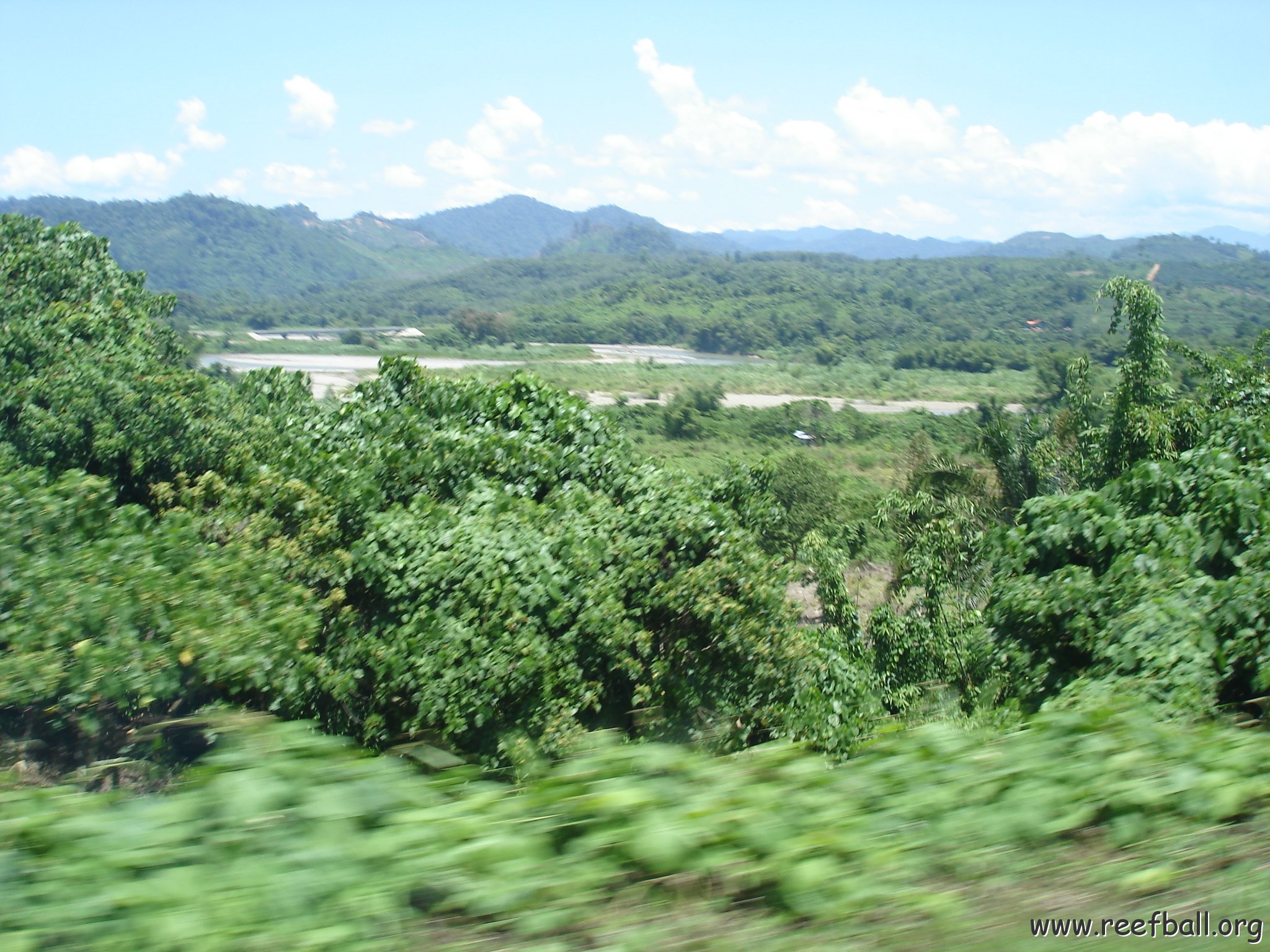 Road trip Sandakan - Kota Kinabalu (194)