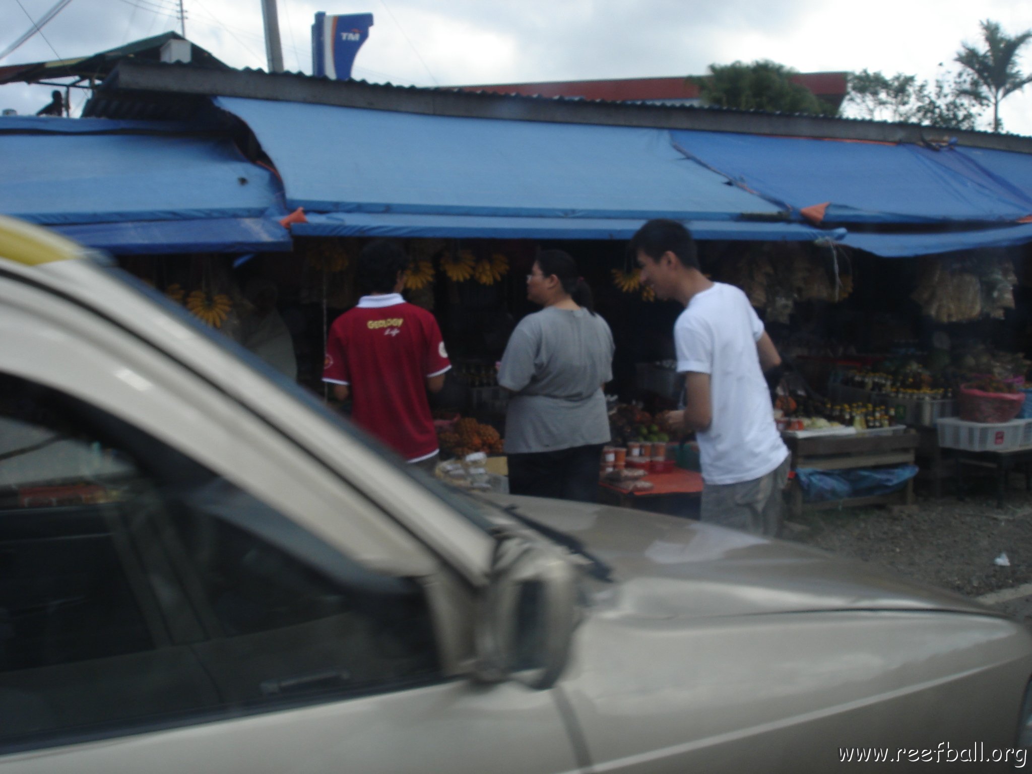 Road trip Sandakan - Kota Kinabalu (272)