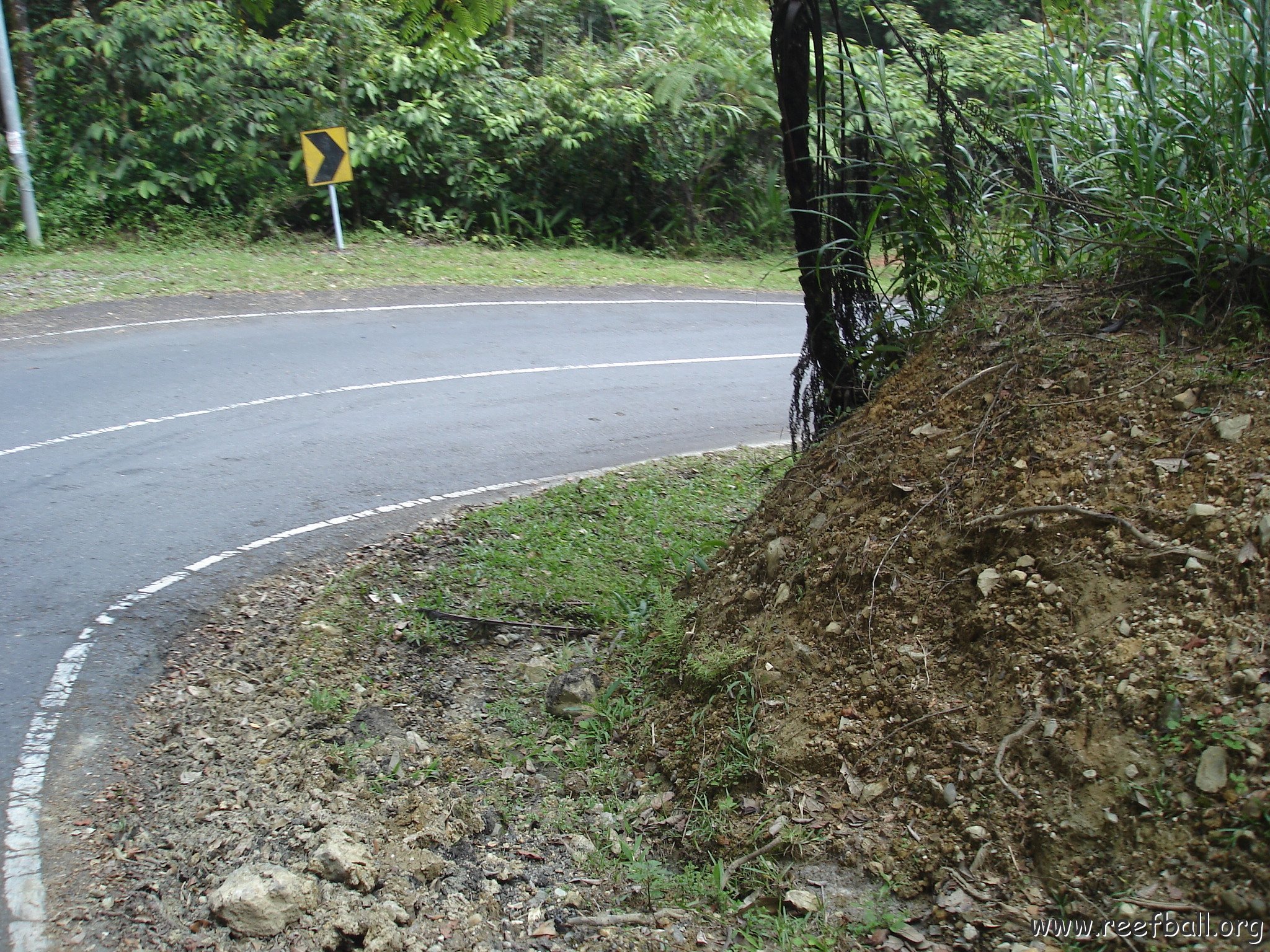 Road trip Sandakan - Kota Kinabalu (300)