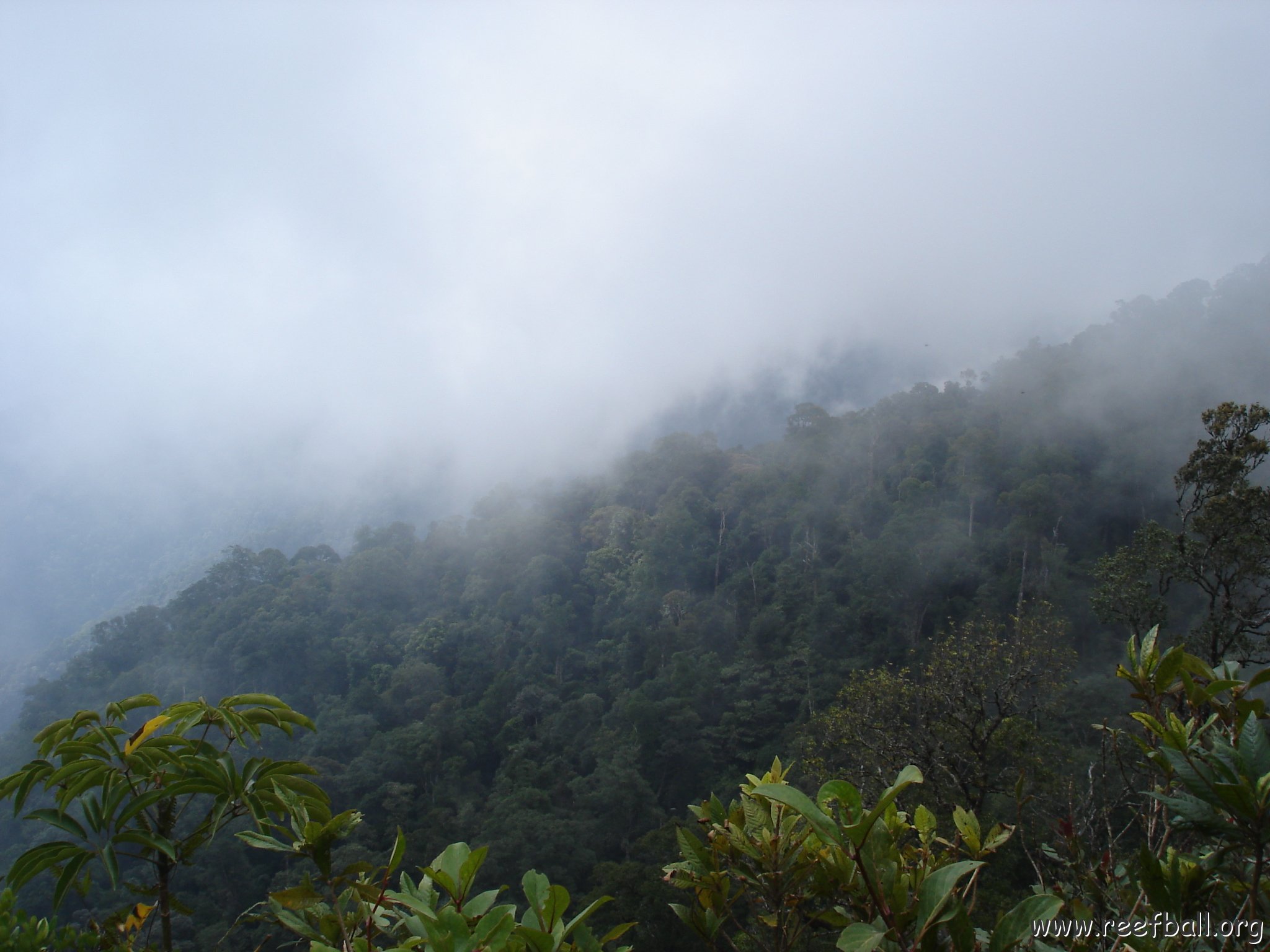 Road trip Sandakan - Kota Kinabalu (305)