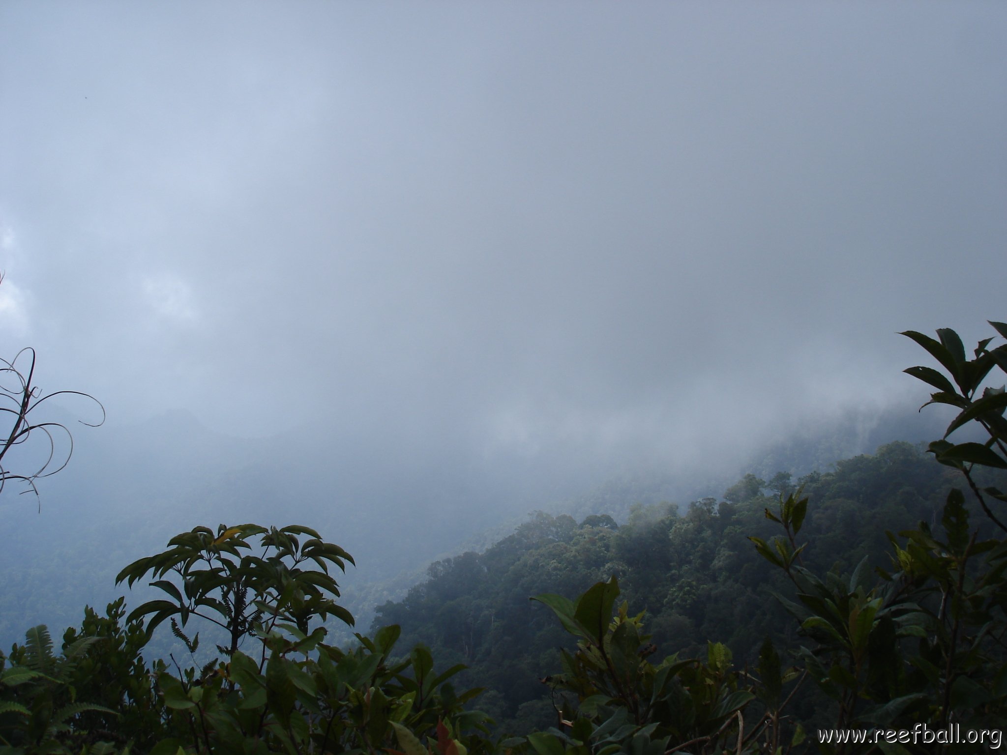 Road trip Sandakan - Kota Kinabalu (306)