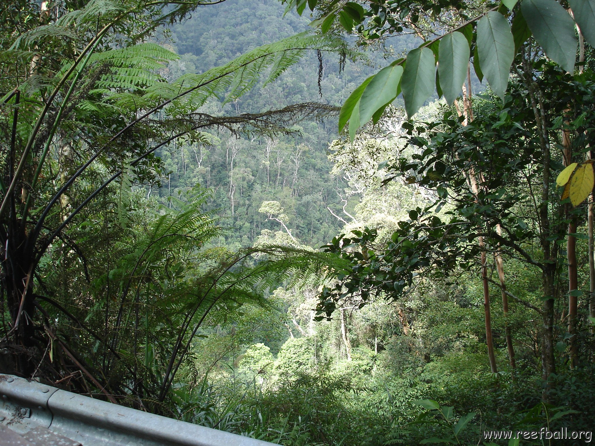 Road trip Sandakan - Kota Kinabalu (313)