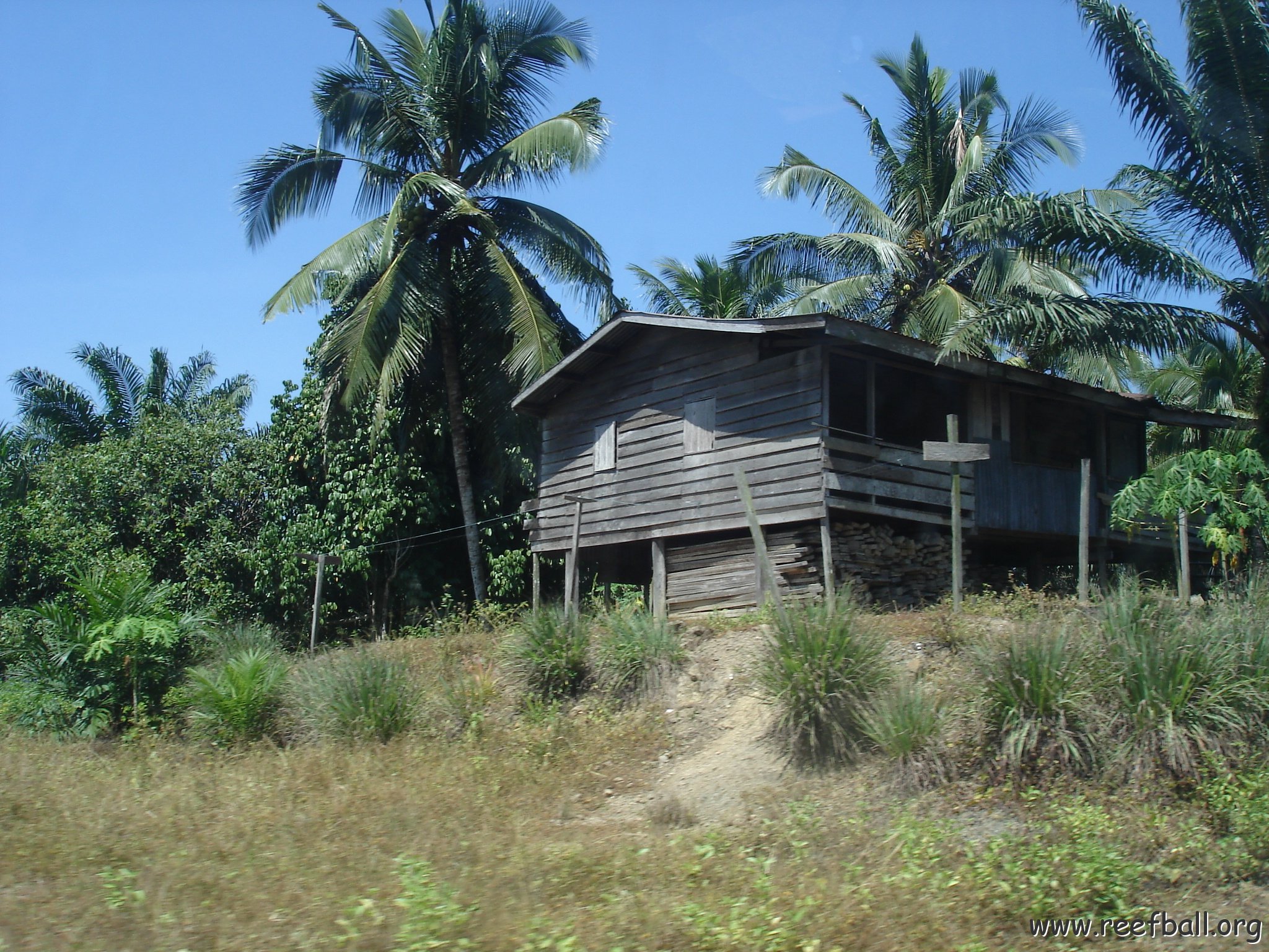 Road trip Sandakan - Kota Kinabalu (34)