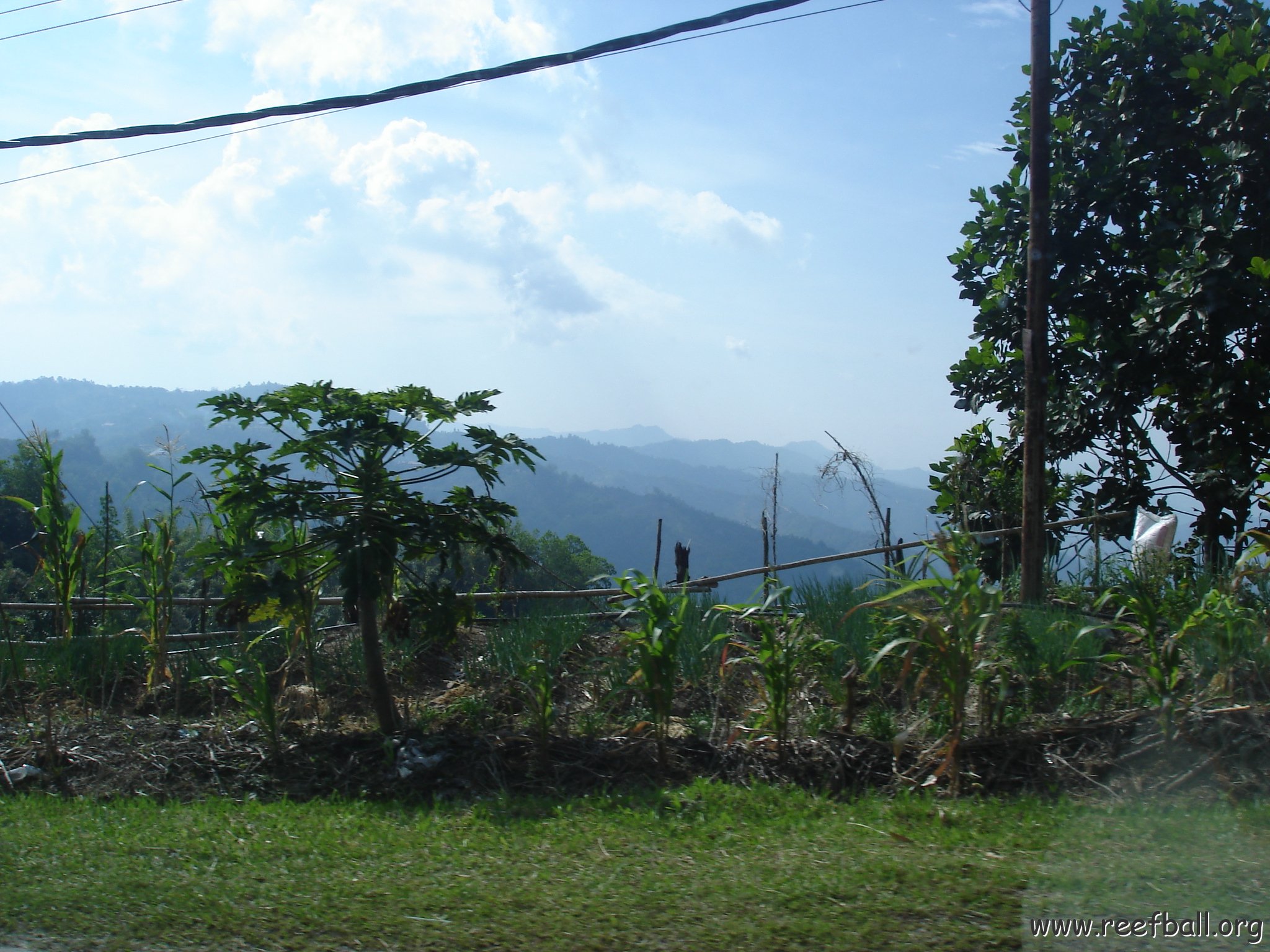 Road trip Sandakan - Kota Kinabalu (346)