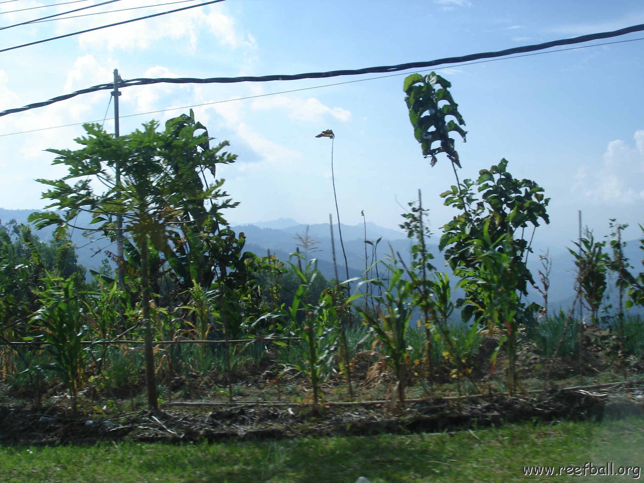 Road trip Sandakan - Kota Kinabalu (347)