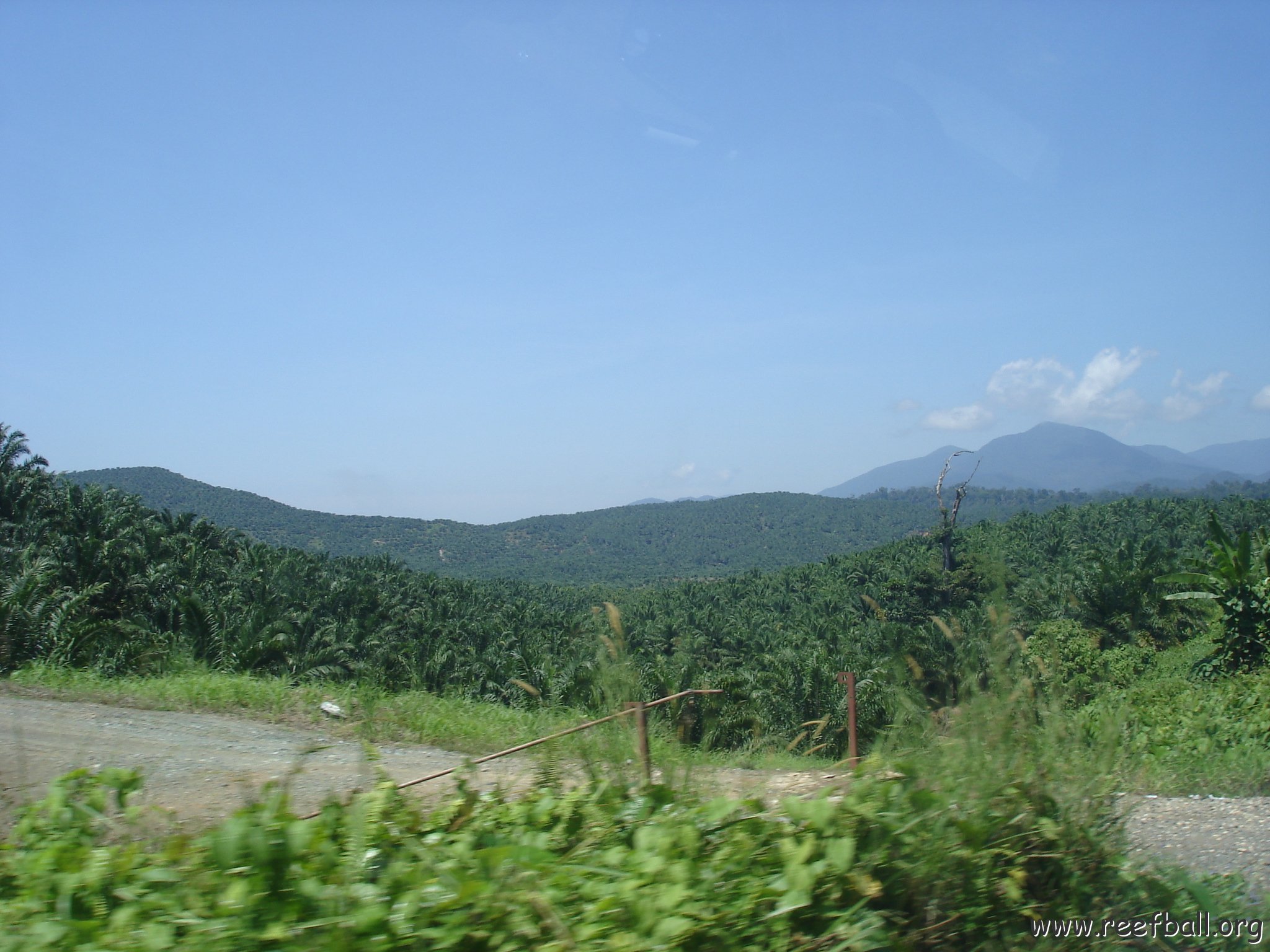 Road trip Sandakan - Kota Kinabalu (62)