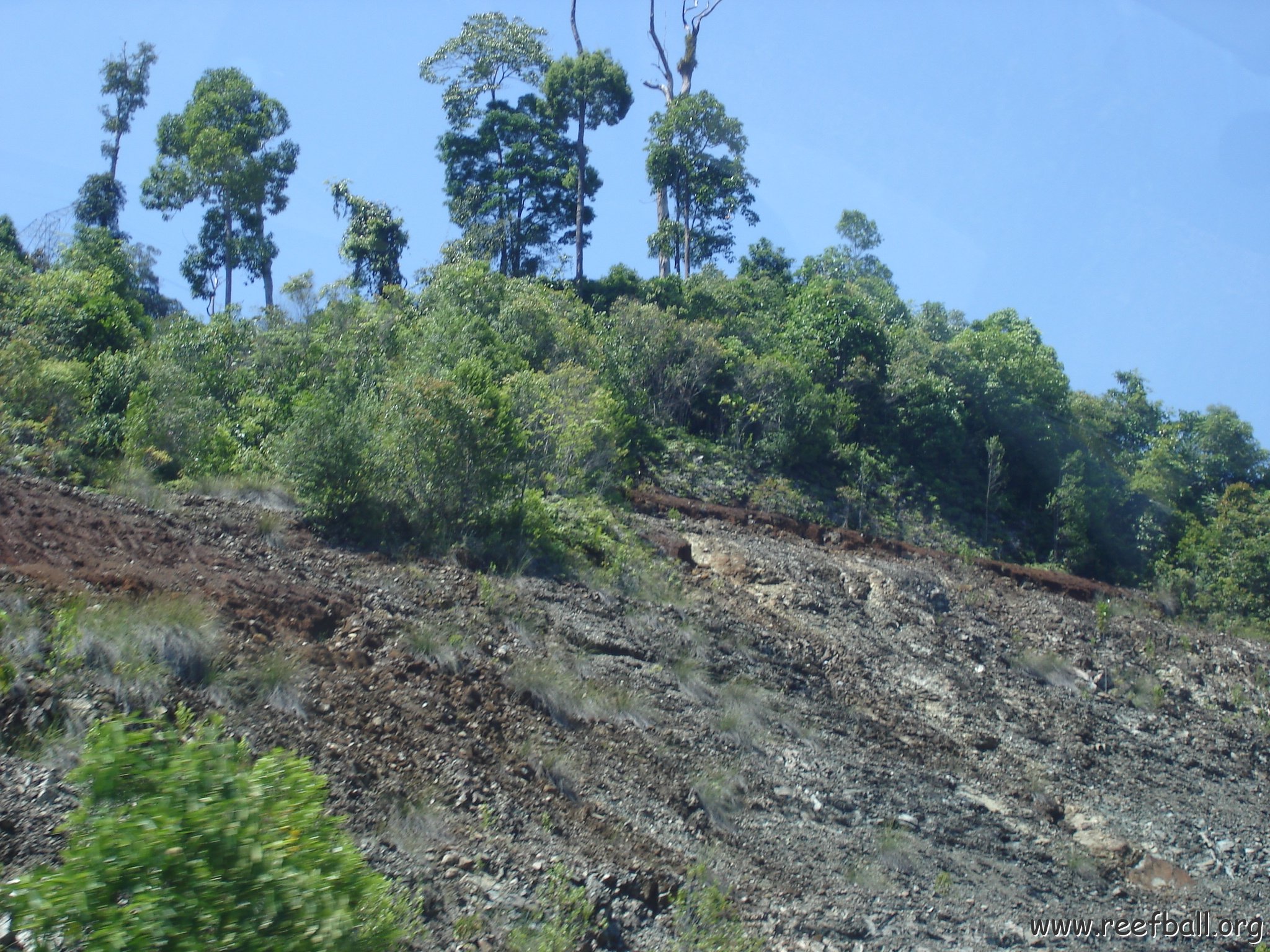 Road trip Sandakan - Kota Kinabalu (69)