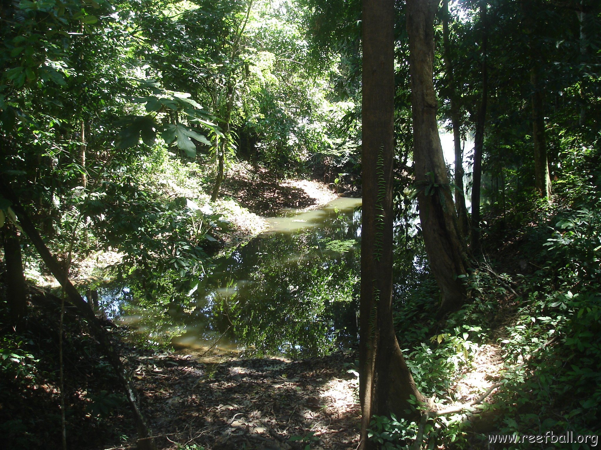 nature discovery center (13)