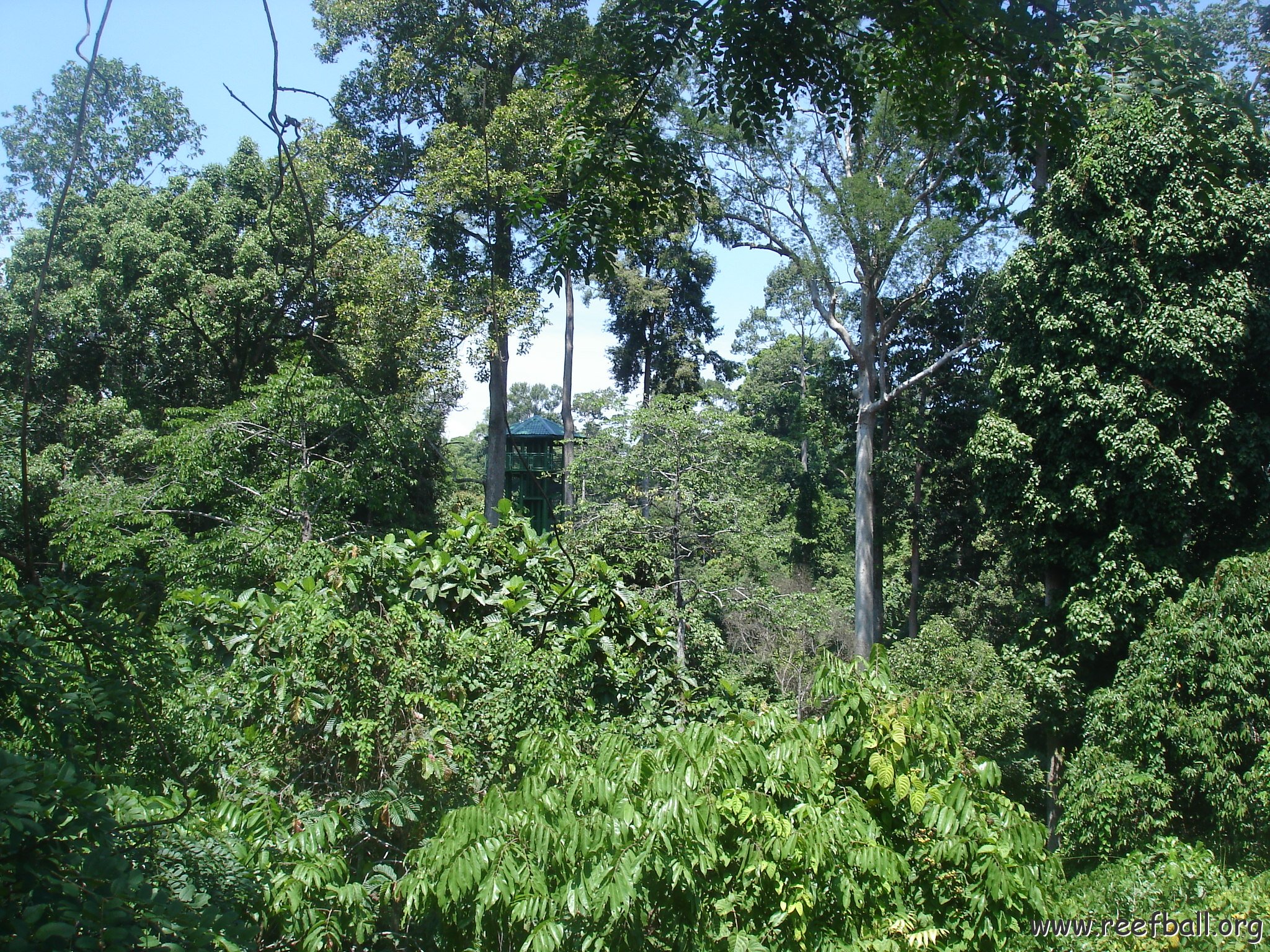 nature discovery center (27)