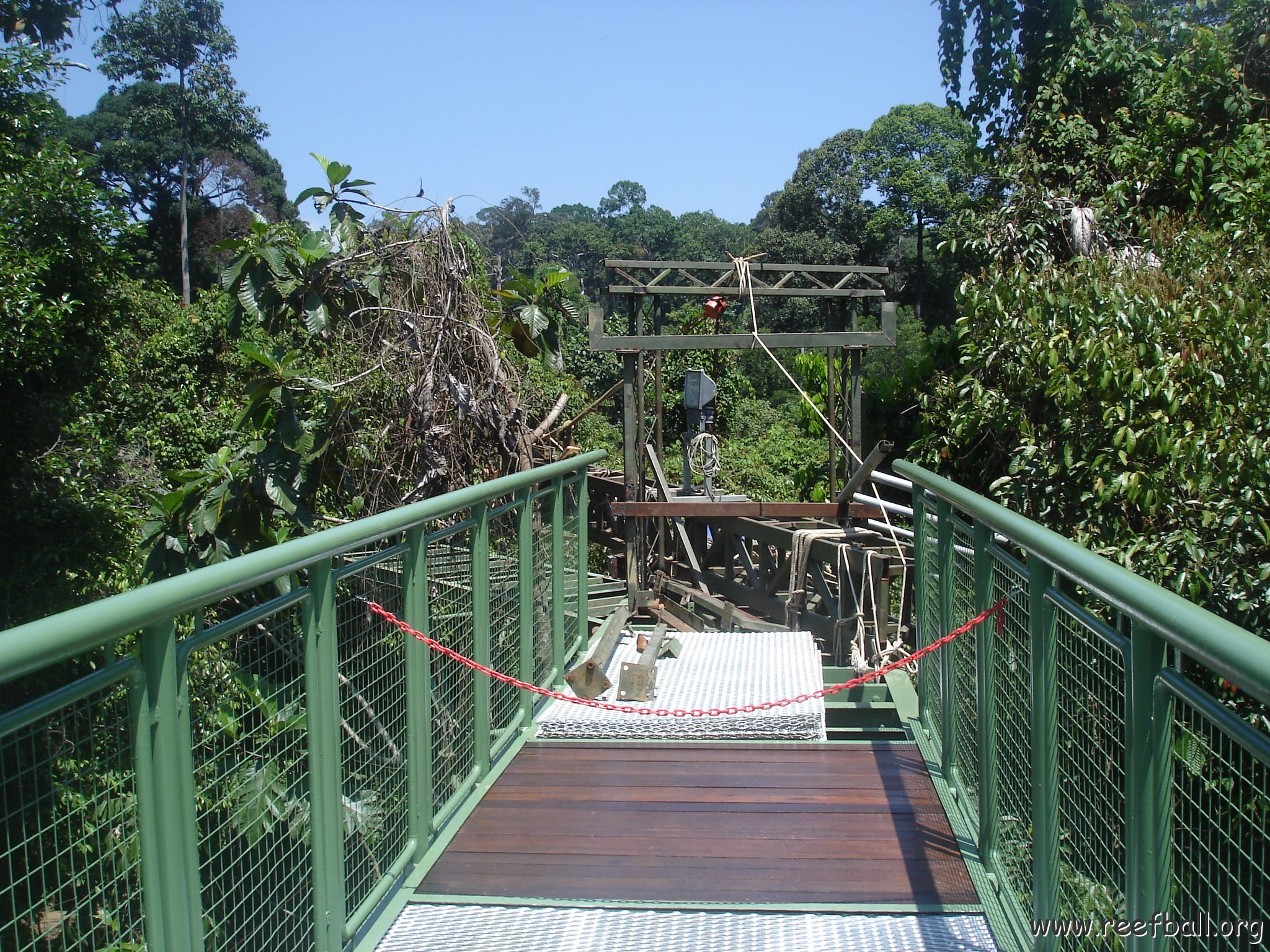 nature discovery center (30)