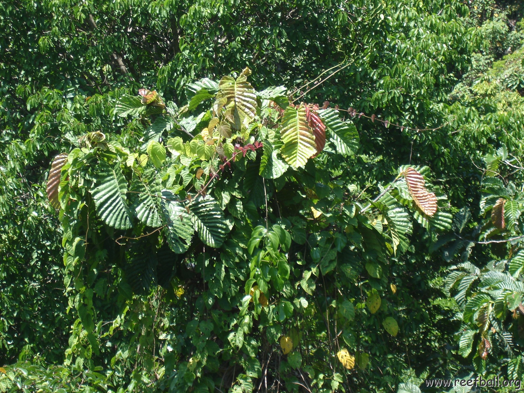 nature discovery center (34)