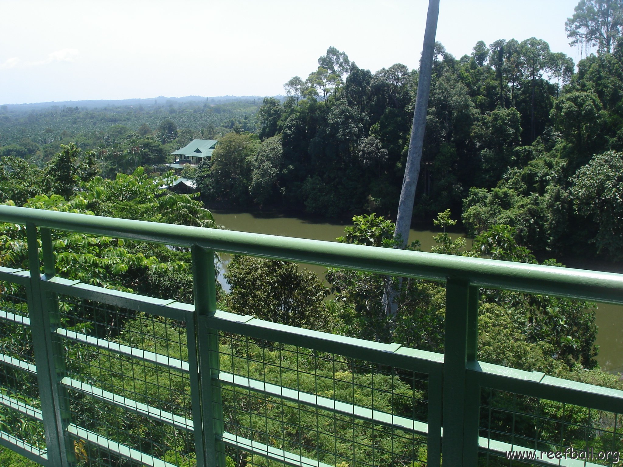 nature discovery center (38)