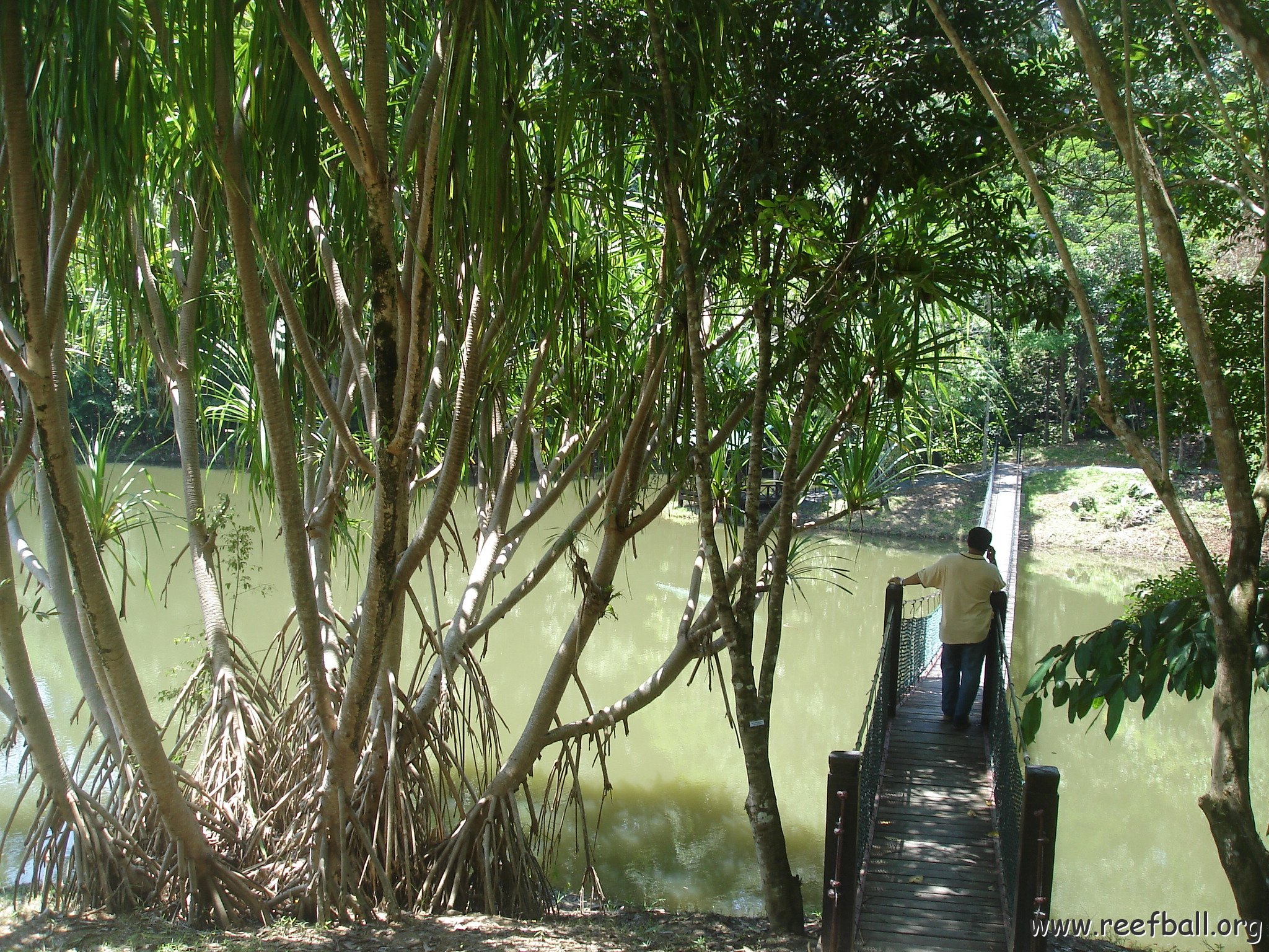 nature discovery center (66)