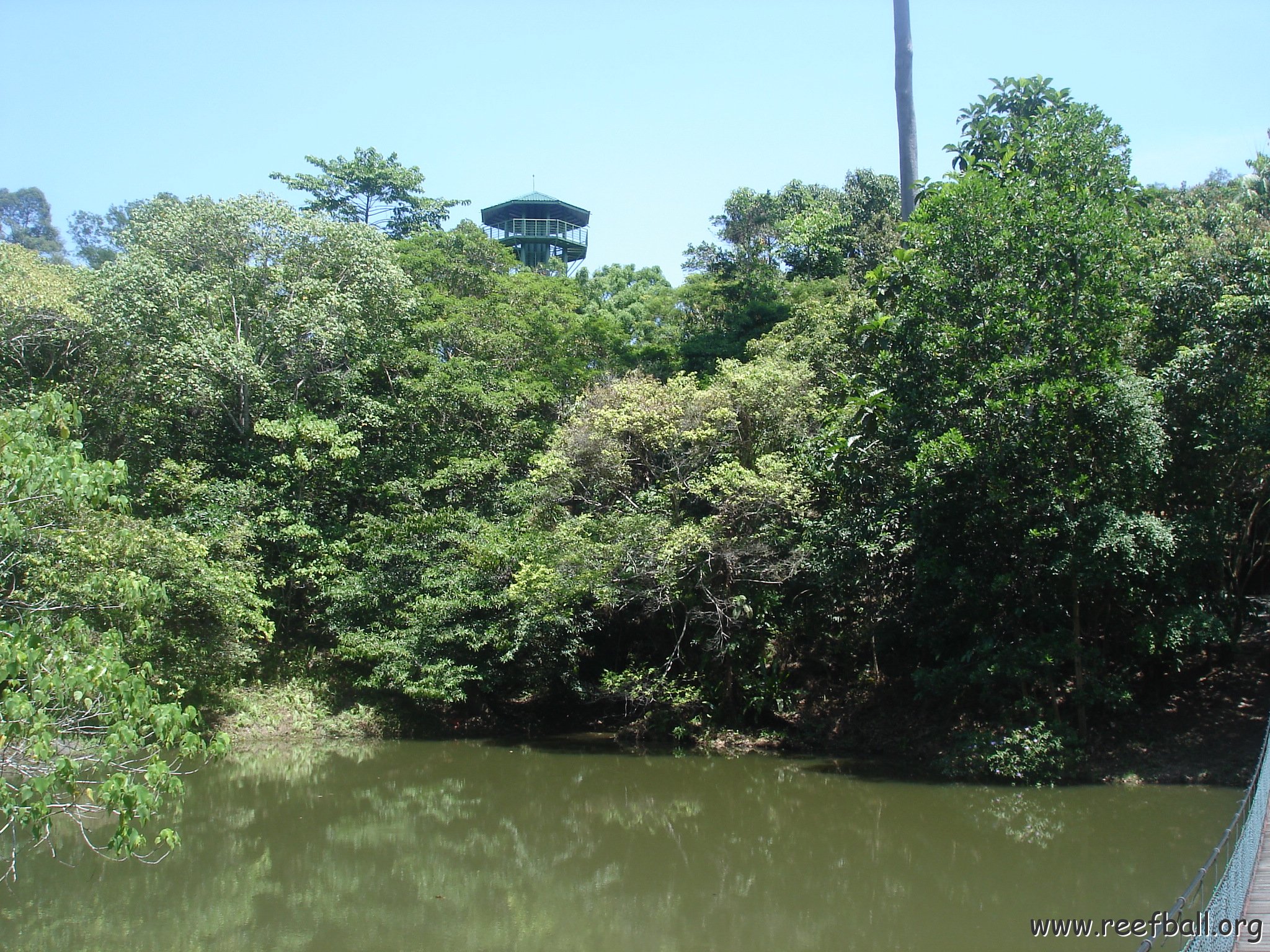 nature discovery center (76)