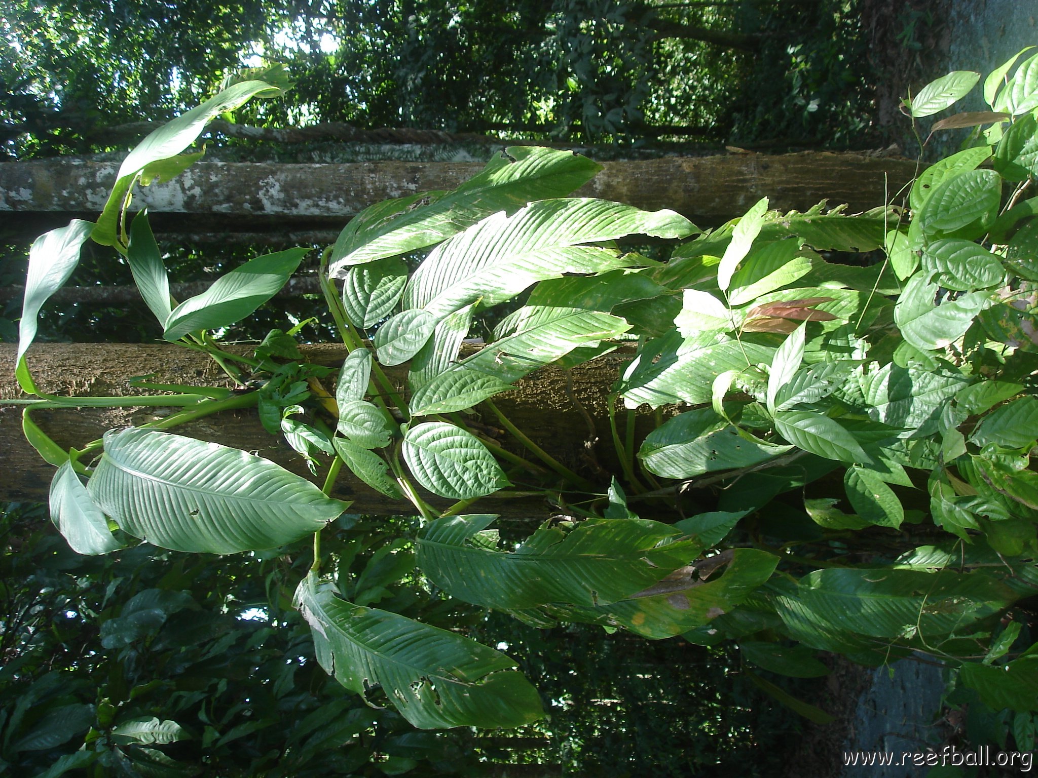 nature discovery center (90)