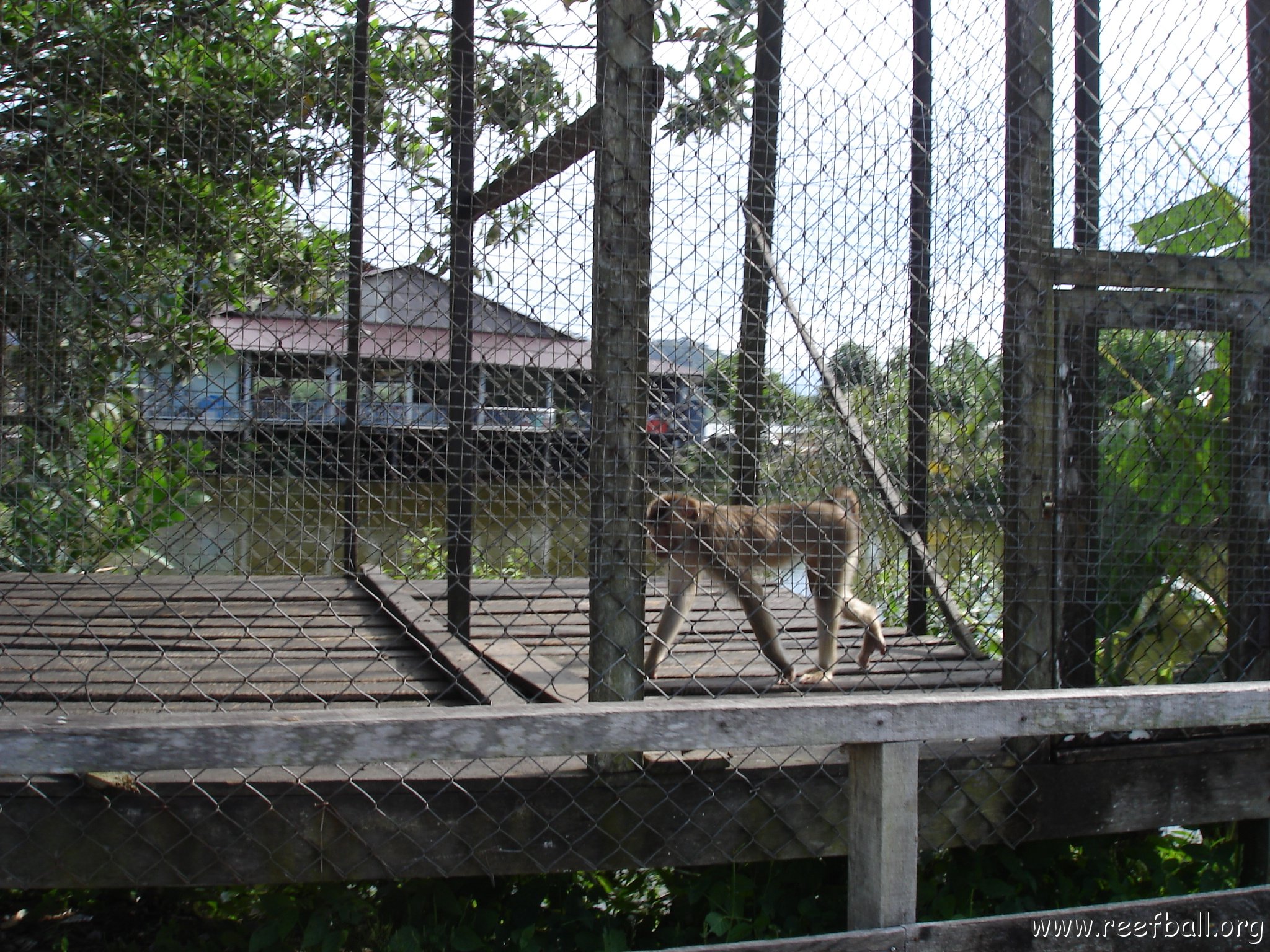 trip from Holiday Inn to Kuching (10)