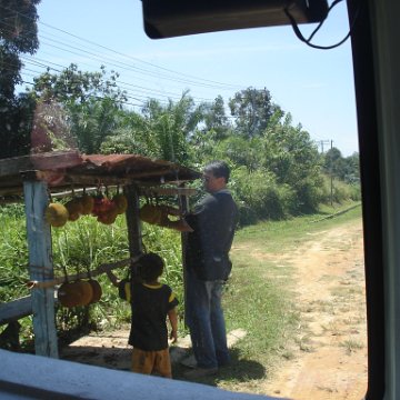 Road trip Sandakan - Kota Kinabalu (109)