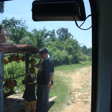 Road trip Sandakan - Kota Kinabalu (110)