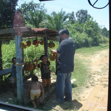 Road trip Sandakan - Kota Kinabalu (111)