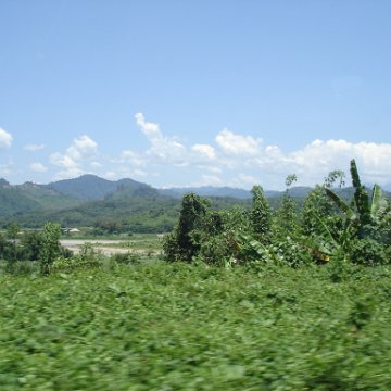 Road trip Sandakan - Kota Kinabalu (193)