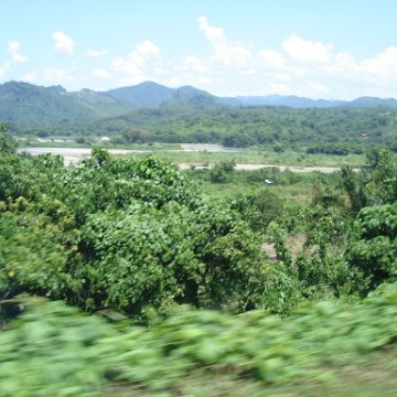 Road trip Sandakan - Kota Kinabalu (194)