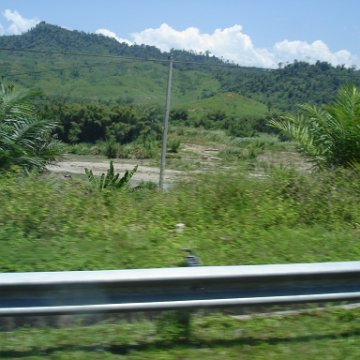 Road trip Sandakan - Kota Kinabalu (204)