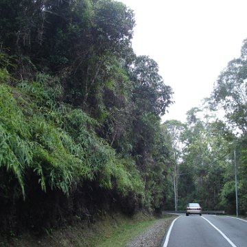 Road trip Sandakan - Kota Kinabalu (303)