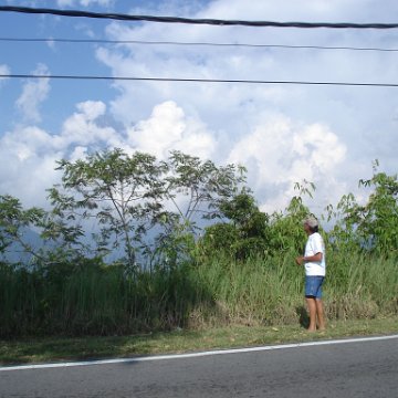 Road trip Sandakan - Kota Kinabalu (353)