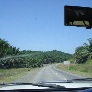 Road trip Sandakan - Kota Kinabalu (38)