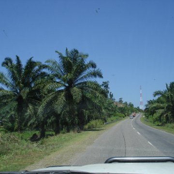 Road trip Sandakan - Kota Kinabalu (40)