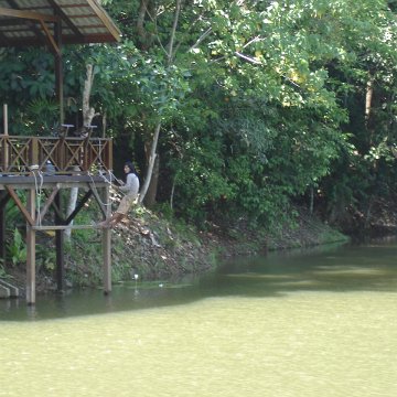 nature discovery center (1)