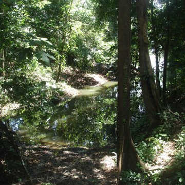 nature discovery center (13)