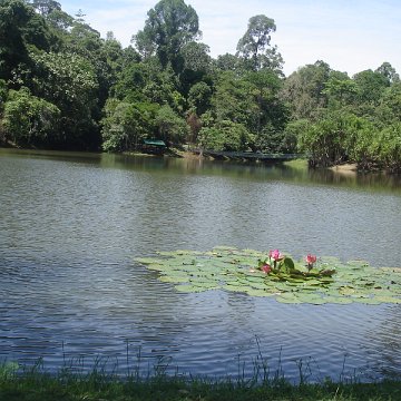 nature discovery center (2)