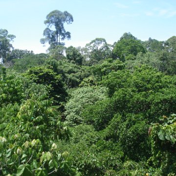 nature discovery center (32)