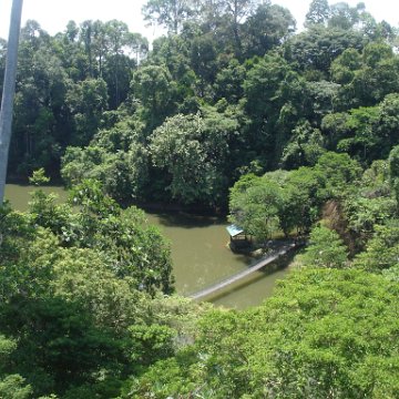 nature discovery center (40)