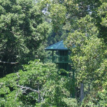 nature discovery center (45)