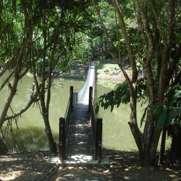 nature discovery center (64)