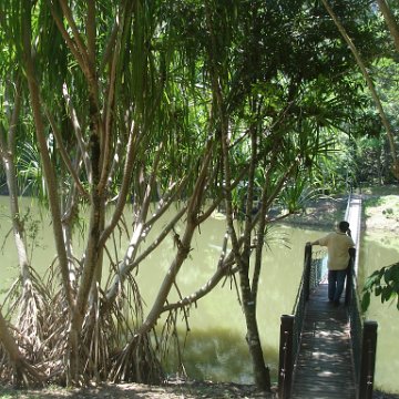 nature discovery center (66)