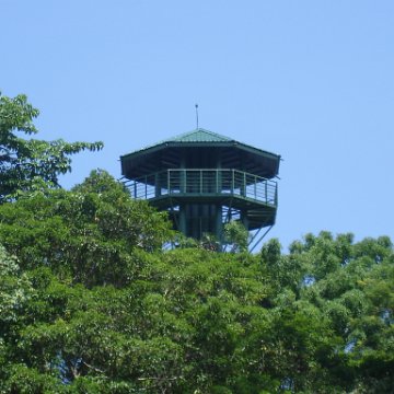 nature discovery center (77)