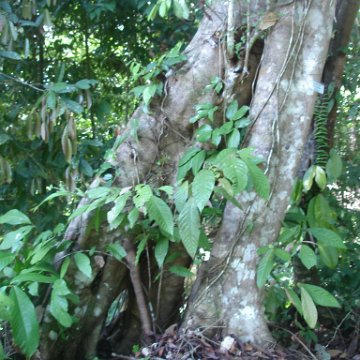 nature discovery center (79)